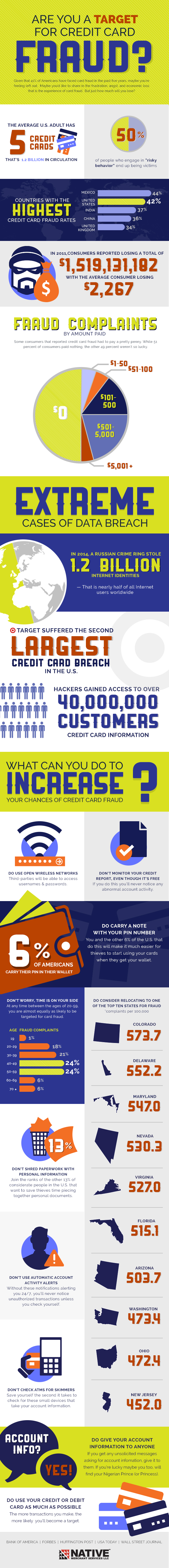 Credit Card Fraud Infographic