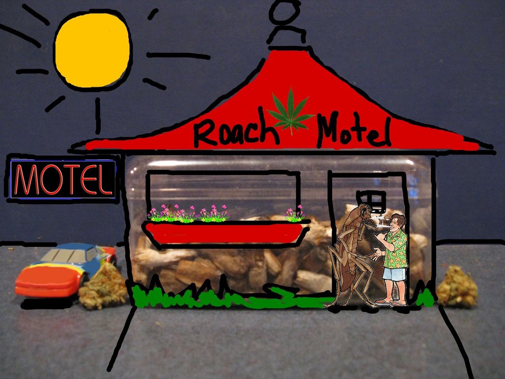 roach_motel_happilydayzed